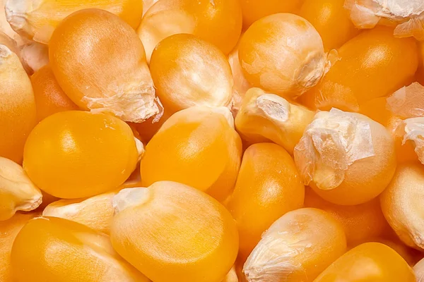Makro Närbild Skott Sockermajs Kärnor Hälsosam Kost Koncept Popcorn Livsmedelsbakgrund — Stockfoto