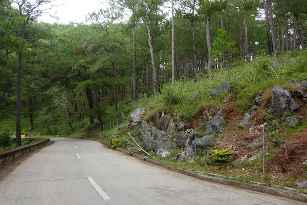 Provinsväg Sagada Mountain Province Filippinerna — Stockfoto
