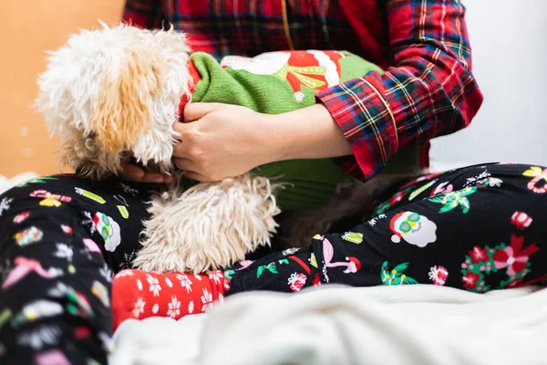 Closeup Shot Person Cozy Pajamas Petting Dog Cute Christmas Outfit — Stockfoto