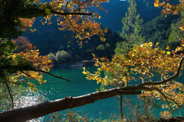 Prachtig Herfstlandschap Een Meer Met Kleurrijke Bladeren Herfstkleuren — Stockfoto