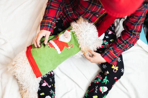 Closeup Shot Person Cozy Pajamas Petting Dog Cute Christmas Outfit — Fotografia de Stock