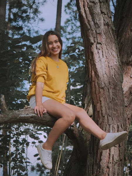 Приваблива Молода Дівчина Сидить Гілці Дерева Лісі — стокове фото