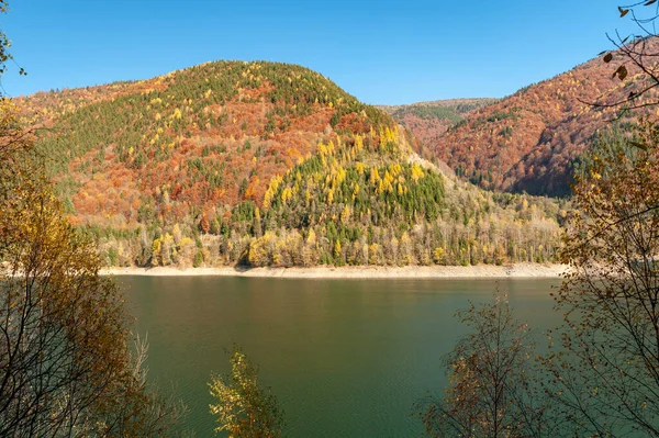 Krásný Výhled Jezero Kopcem Pozadí Pokryté Stromy Podzimních Barvách Rumunsku — Stock fotografie