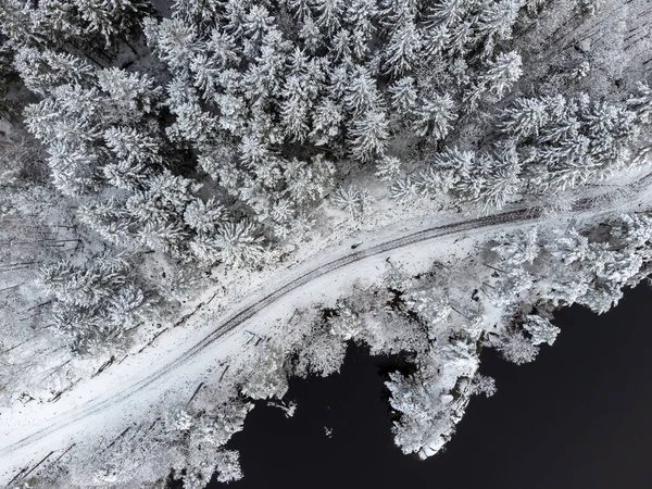 Photographie Aérienne Par Drone Lac Sentier Une Forêt Conifères Saison — Photo