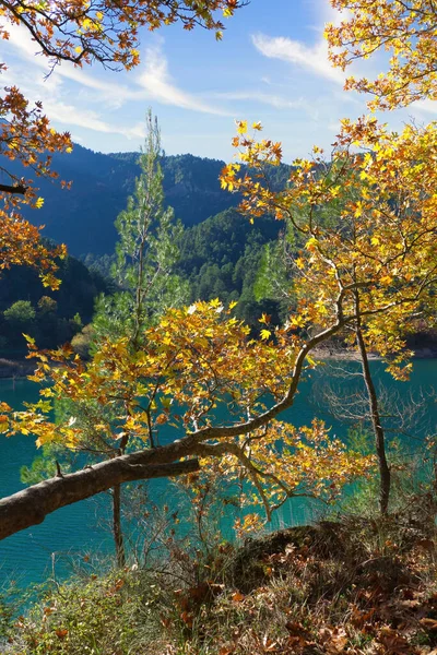 Piękny Jesienny Krajobraz Jeziorze Kolorowymi Liśćmi Jesienne Kolory — Zdjęcie stockowe