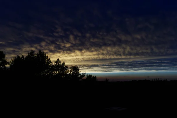 Una Hermosa Vista Paisaje Con Árboles Bajo Cielo Del Atardecer — Foto de Stock