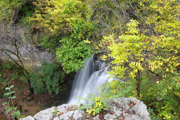 Beautiful View River Waterfall Natural Green Plants Trees — ストック写真