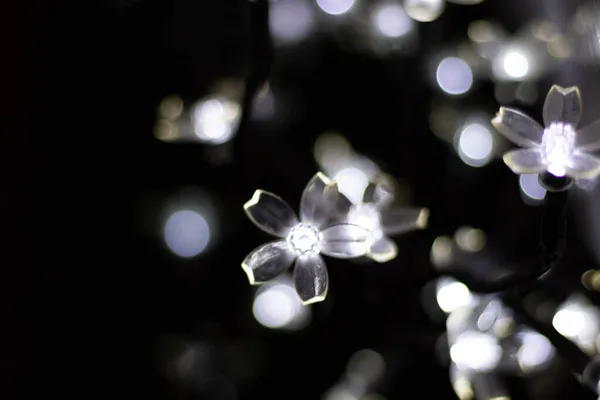 小灯泡的特写镜头 形似花朵 — 图库照片