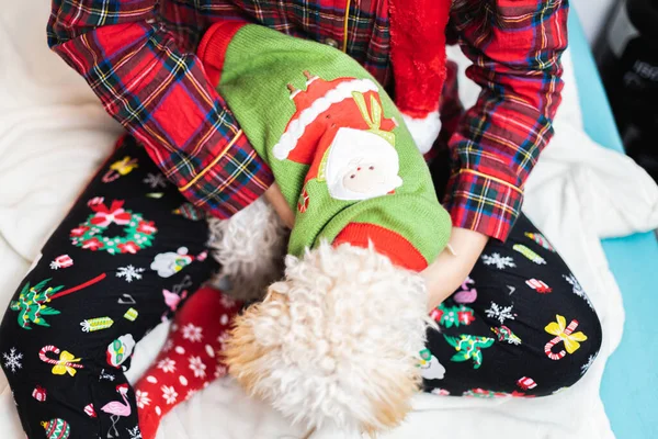 Closeup Shot Person Cozy Pajamas Petting Dog Christmas Outfit — Stockfoto