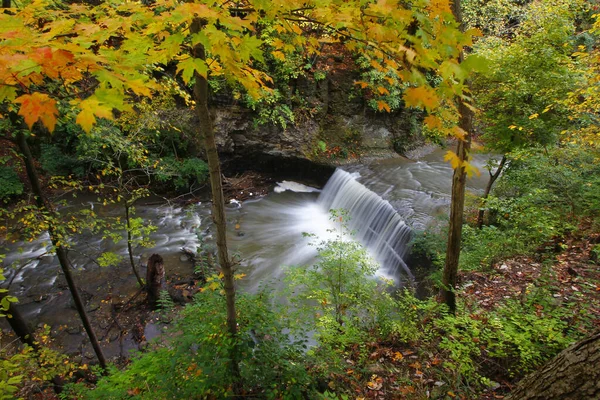 Beautiful View River Waterfall Natural Green Plants Trees — Φωτογραφία Αρχείου