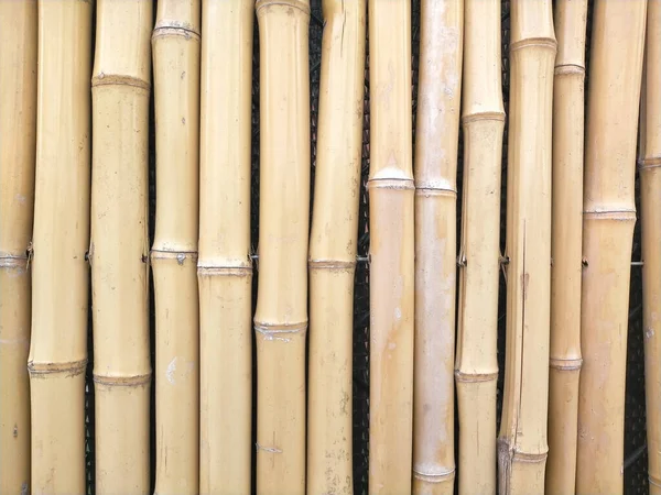 Ljusbrun Bambu Konsistens Bakgrund — Stockfoto