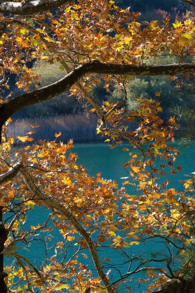 Piękny Jesienny Krajobraz Jeziorze Kolorowymi Liśćmi Jesienne Kolory — Zdjęcie stockowe
