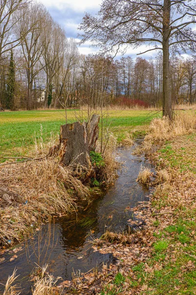 Vertikální Záběr Úzkého Kanálu Poli — Stock fotografie