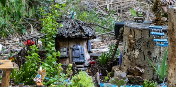 Een Tuin Met Planten Een Klein Decor Huis — Stockfoto