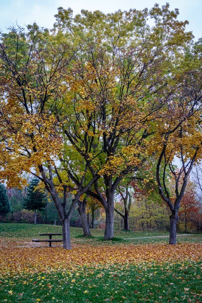 Όμορφη Θέα Ενός Πάρκου Φθινοπωρινά Χρώματα — Φωτογραφία Αρχείου