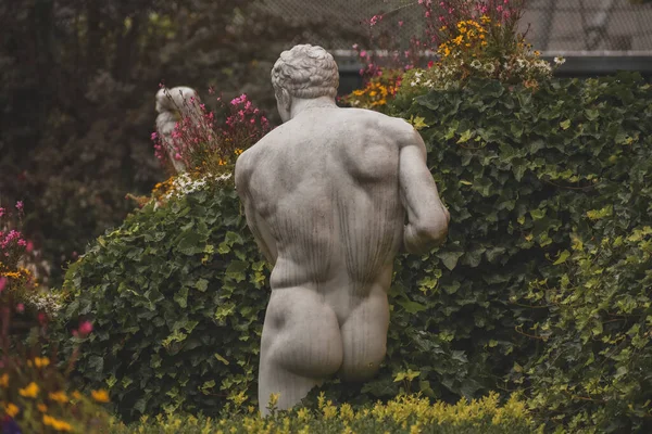 Vue Dos Une Statue Homme Dans Zoo République Tchèque — Photo