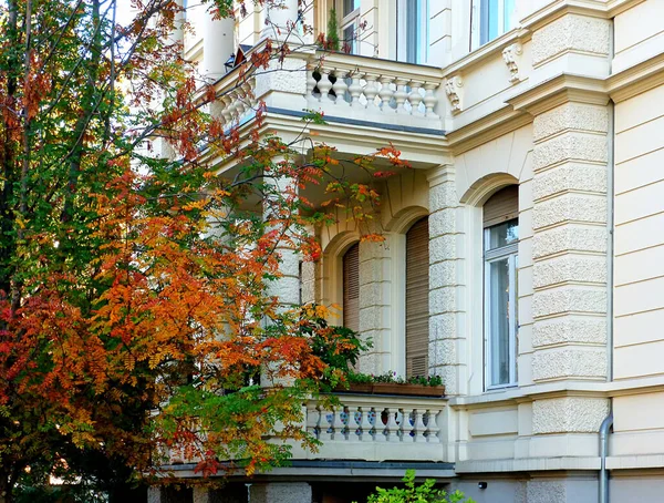 White Townhouse Former Art Nouveau Style Autumn Colorful Trees — Stok fotoğraf