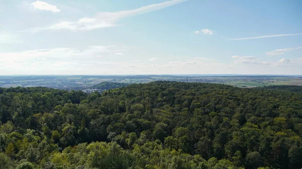 Veduta Aerea Una Foresta Nel Baden Wuerttemberg — Foto Stock