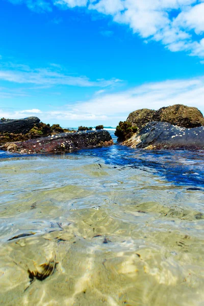 Uma Praia Rochosa Uma Ilha Sob Céu Azul — Fotografia de Stock