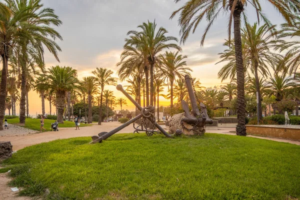 Scenic View Palm Trees Park Bright Sunset — Zdjęcie stockowe