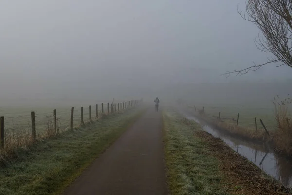 霧に包まれた朝の田舎道 — ストック写真