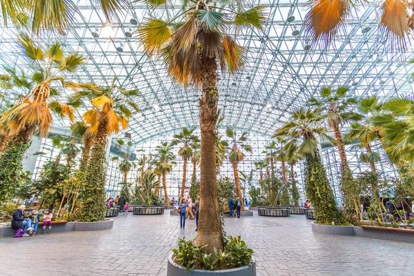Beautiful View Indoor Botanical Garden — Fotografia de Stock