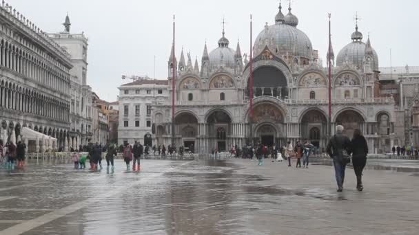 Venice Itália Circa Setembro 2019 Famosa Vista Grande Palácio Praça — Vídeo de Stock
