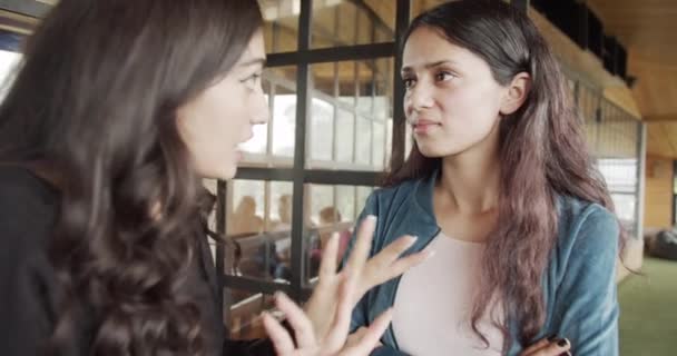 Footage Friends Having Good Time Together Cafe Talking Each Other — Vídeos de Stock