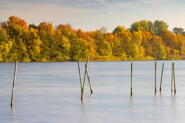 Přirozený Pohled Podzimní Listí Větvích Stromů Břehu Klidného Jezera — Stock fotografie