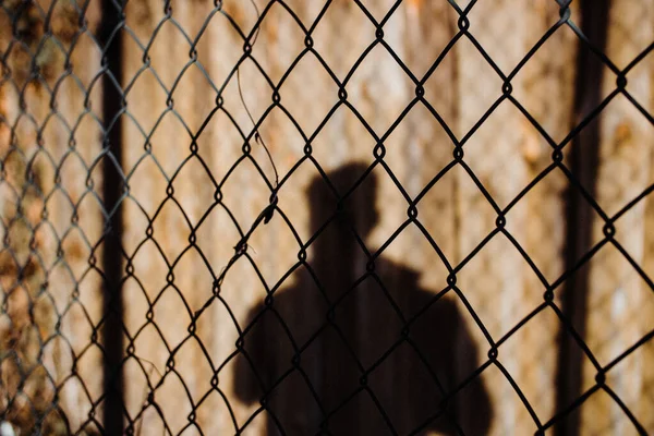 A view of the shadow of a male behind the net fence in Bayreuth