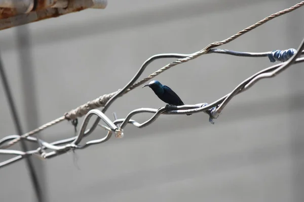 Eine Nahaufnahme Von Kabeln — Stockfoto
