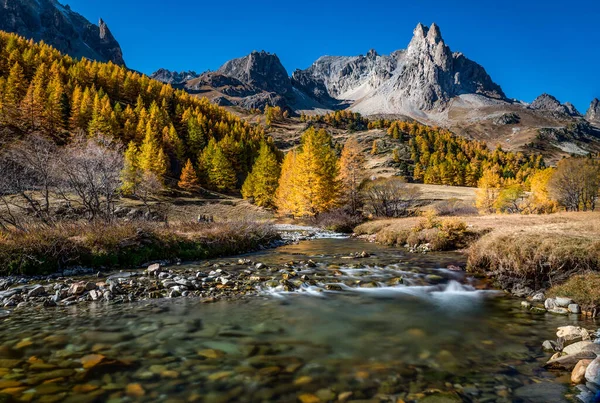 Eine Schöne Aussicht Mit Einem Fluss Herbstwald — Stockfoto