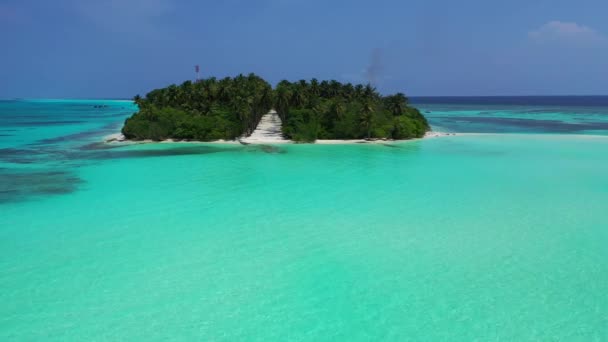 Une Belle Vue Sur Une Plage Mer — Video