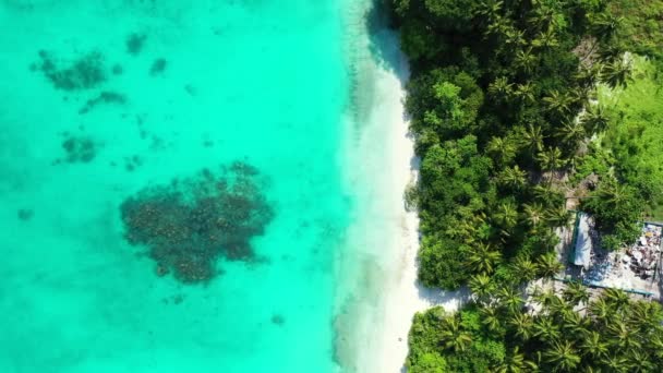 Uma Bela Vista Uma Praia Mar — Vídeo de Stock