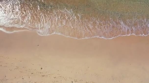 Une Belle Vue Sur Une Plage Mer — Video