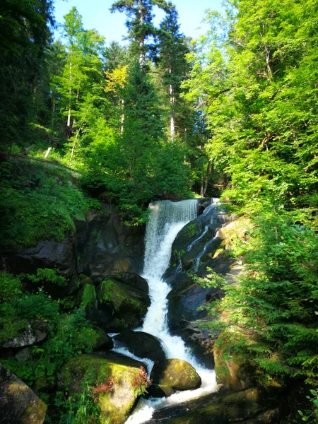 Tiro Vertical Uma Pequena Cachoeira Floresta — Fotografia de Stock