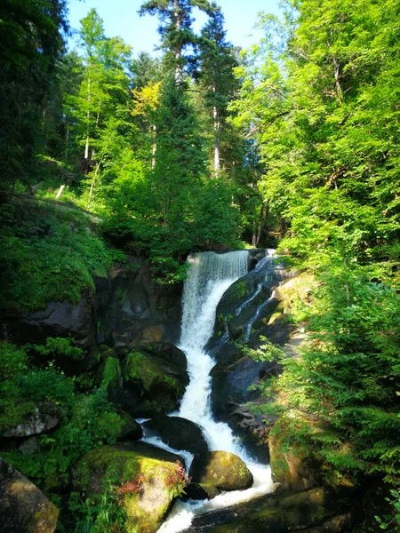 Een Verticaal Schot Van Een Kleine Waterval Het Bos — Stockfoto