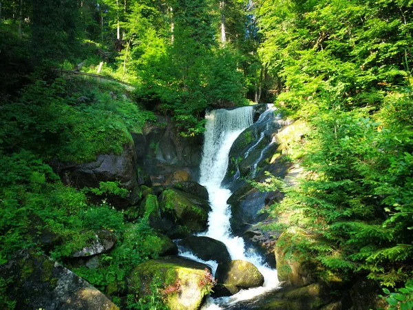 Uma Paisagem Natural Uma Pequena Cachoeira Floresta — Fotografia de Stock