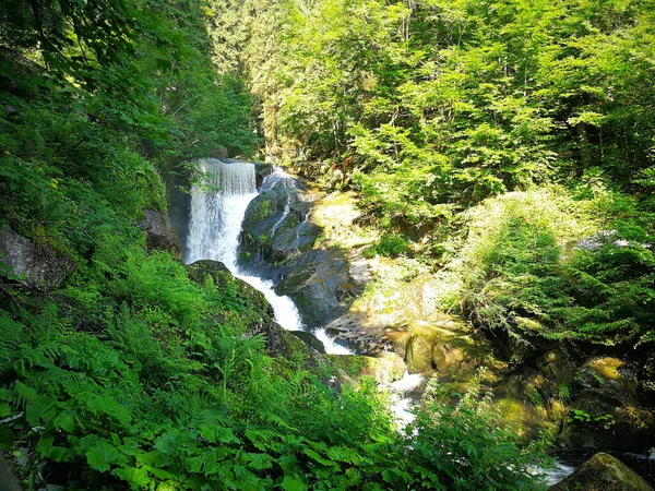 Paisaje Natural Una Pequeña Cascada Bosque —  Fotos de Stock