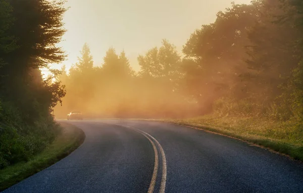 Красивый Снимок Туманной Дороги Зеленым Лесом Обеих Сторон — стоковое фото