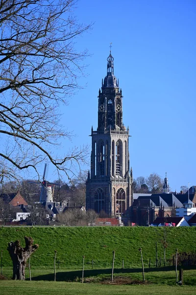 Den Antika Cunera Kyrkan Staden Rhenen Nederländerna — Stockfoto