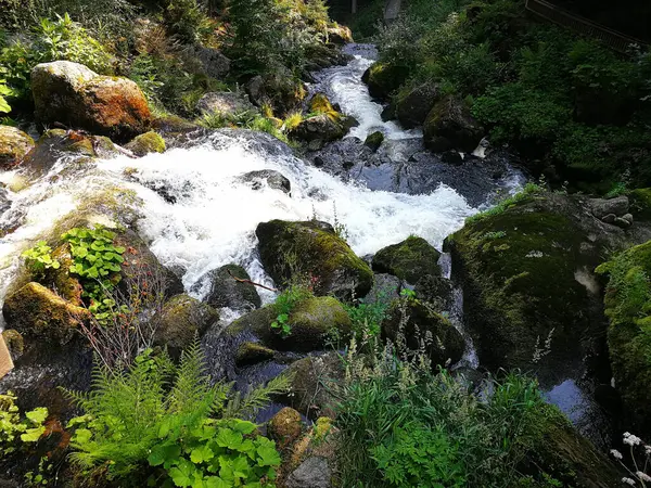 Paesaggio Naturale Una Piccola Cascata Nella Foresta — Foto Stock