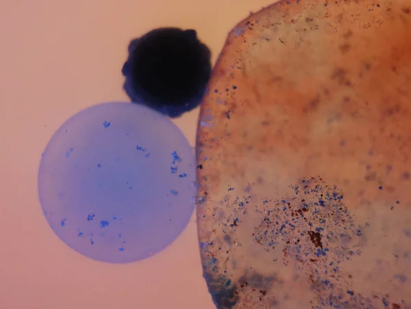 Una Macro Toma Abstracta Pequeñas Partículas Burbujeantes Redondas Color Azul —  Fotos de Stock