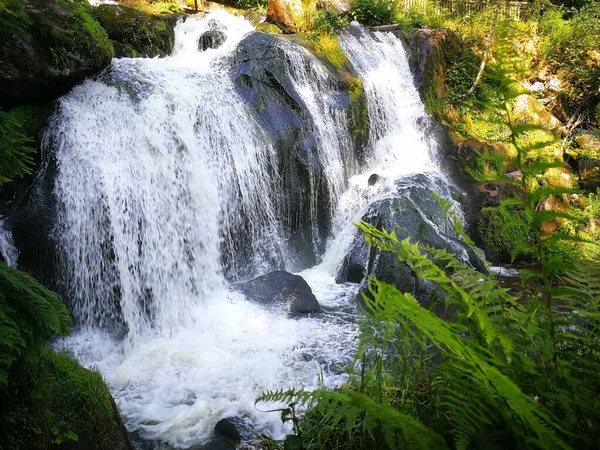 Paysage Naturel Une Petite Cascade Dans Forêt — Photo