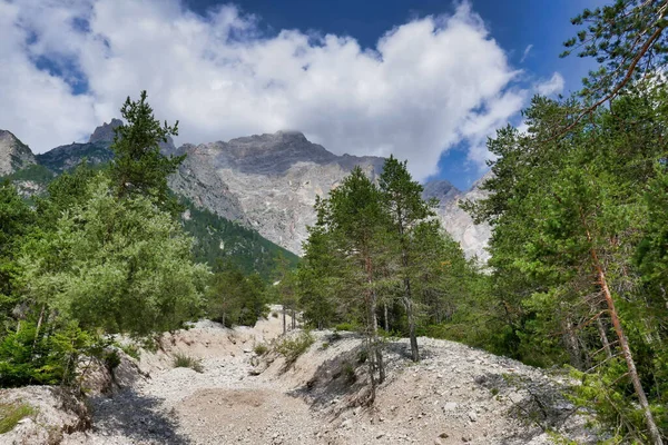Ett Vackert Landskap Lummiga Gröna Träd Och Vackra Berg Bakgrunden — Stockfoto