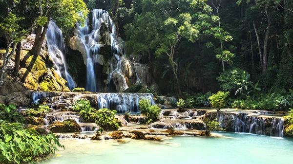 Uma Vista Fascinante Uma Cachoeira Floresta Com Vegetação Densa Dia — Fotografia de Stock