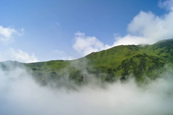Ein Schöner Wolkenschuss Der Die Grünen Waldbrunnen Einem Sonnigen Tag — Stockfoto