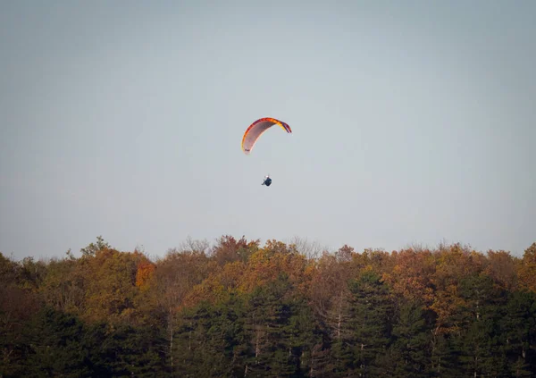 Een Rustig Landschap Van Een Man Paragliding Boven Het Bos — Stockfoto