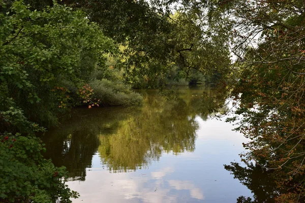 Une Rivière Dans Une Forêt Avec Reflet Des Arbres Environnants — Photo