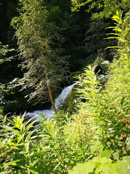 Een Verticaal Schot Van Een Waterval Met Bomen Voorgrond — Stockfoto